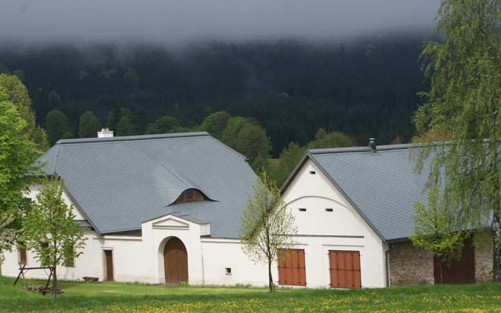 Střechy